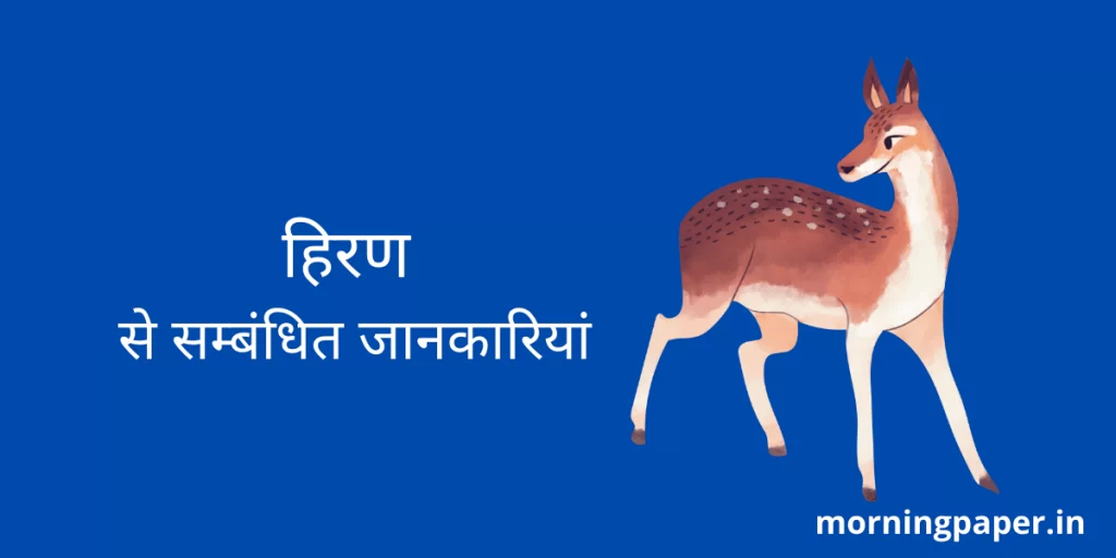 हिरण से सम्बंधित जानकारियां | Deer Information in Hindi | MORNING PAPER