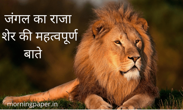 lion information in hindi