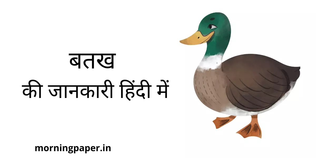 duck information in hindi