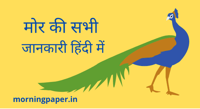 Peacock information in hindi