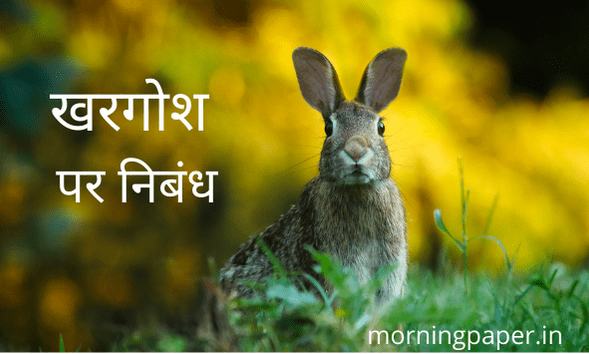 essay on rabbit in hindi