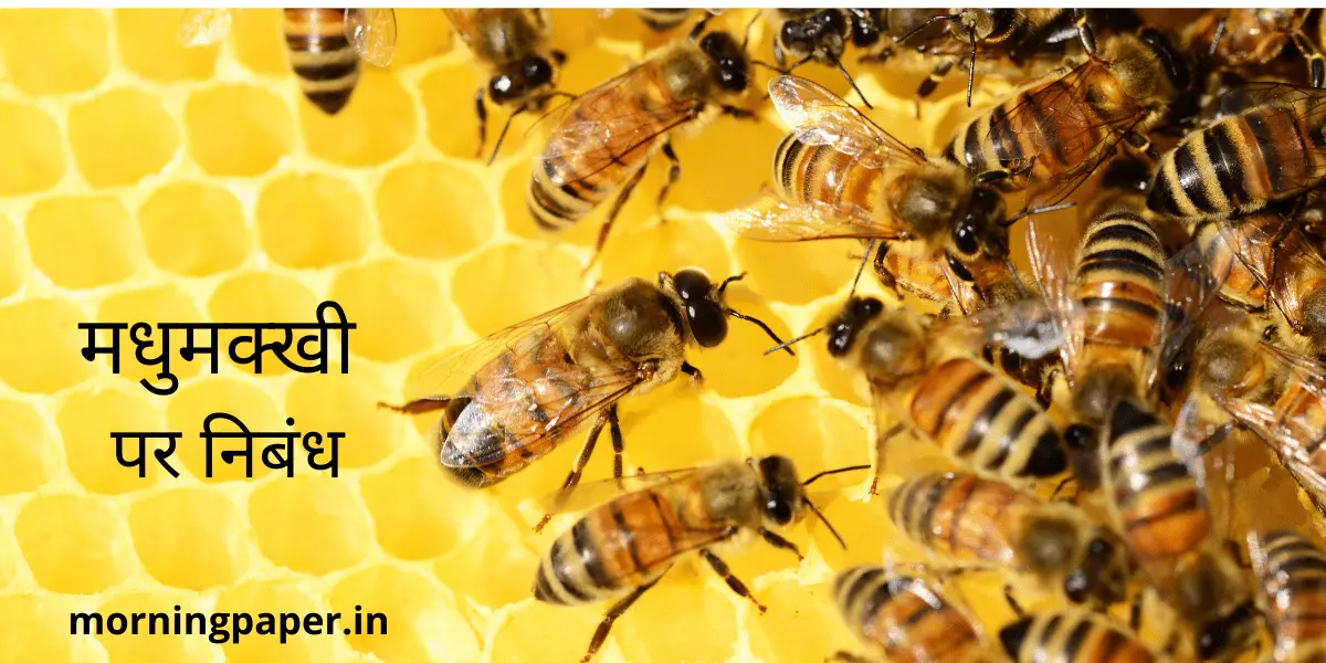 essay on honey bee in hindi