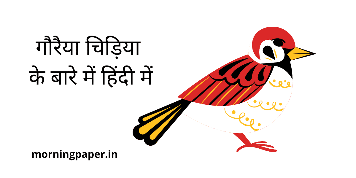 About sparrow in hindi