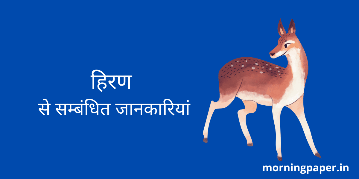 Deer Information in Hindi