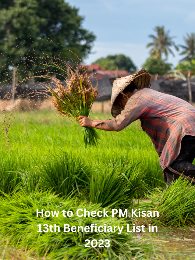 How to Check PM Kisan 13th Beneficiary List in 2023